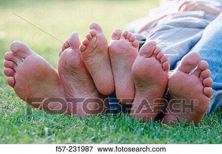 Family View Large Photo Image Stock Photo - Family. Fotosearch
