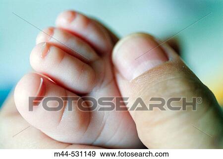 Family View Large Photo Image Stock Photo - Family. Fotosearch