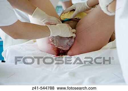 Family View Large Photo Image Stock Photo - Family. Fotosearch