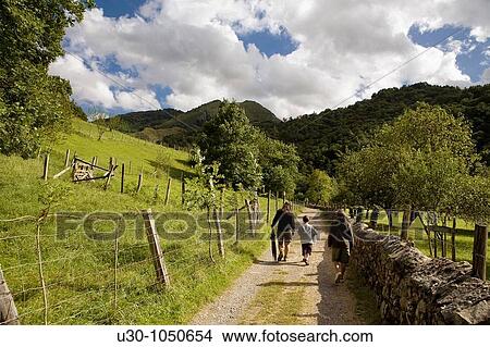 Family walking along the Dobra valley, in Picos De Europa Cangas de On's Asturias Spain View Large Photo Image Picture - Family walking along the Dobra valley, in Picos De Europa Cangas de On's Asturias Spain. Fotosearch