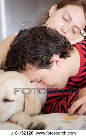 family's dream View Large Photo Image Stock Photo - family's dream. Fotosearch