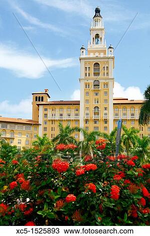 Famous Biltmore Hotel, Coral Gables, Miami, Florida, USA View Large Photo Image Stock Image - Famous Biltmore Hotel, Coral Gables, Miami, Florida, USA. Fotosearch