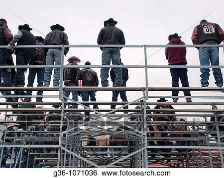 Fans watch the Tucson Rodeo in Tucson, Arizona, United States View Large Photo Image Stock Photograph - Fans watch the Tucson Rodeo in Tucson, Arizona, United States. Fotosearch