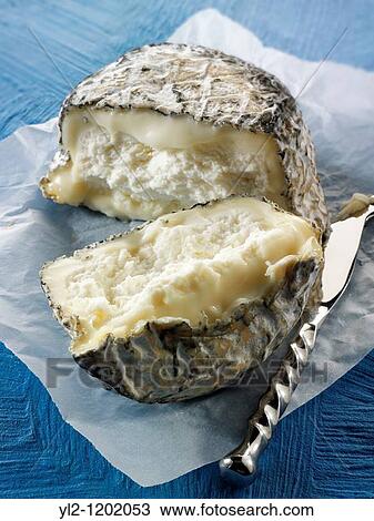 Stock Image - Farm goats cheese from Normandy French traditional regonal Cheeses. Fotosearch