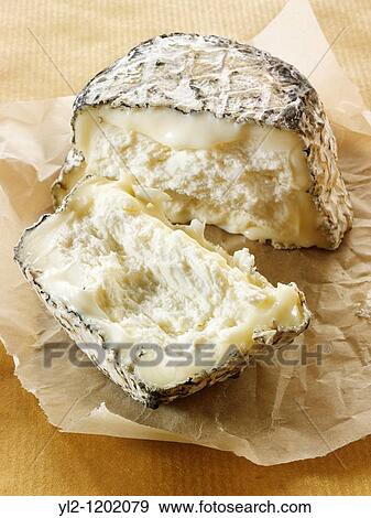 Farm goats cheese from Normandy French traditional regonal Cheeses View Large Photo Image Stock Photo - Farm goats cheese from Normandy French traditional regonal Cheeses. Fotosearch