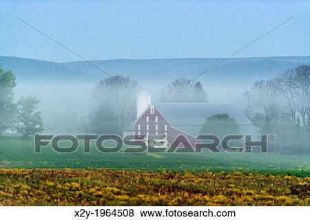 Farm is mist, Adams County, Pennsylvania, USA. View Large Photo Image Stock Photo - Farm is mist, Adams County, Pennsylvania, USA.. Fotosearch