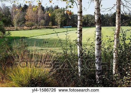 Farm landscape, Estate Den Treek, The Netherlands View Large Photo Image Stock Photograph - Farm landscape, Estate Den Treek, The Netherlands. Fotosearch
