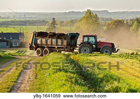 farmer activity around mauron, broceliande, Ille et Vilaine, Brittany, France View Large Photo Image Stock Photo - farmer activity around mauron, broceliande, Ille et Vilaine, Brittany, France. Fotosearch