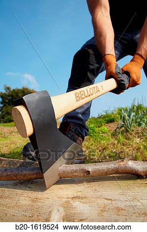 Farmer chopping wood with an ax, Axe, Agricultural and gardening hand tool, Usurbil, Gipuzkoa, Basque Country, Spain View Large Photo Image Picture - Farmer chopping wood with an ax, Axe, Agricultural and gardening hand tool, Usurbil, Gipuzkoa, Basque Country, Spain. Fotosearch