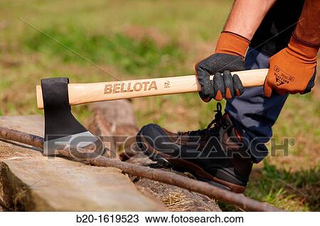 Farmer chopping wood with an ax, Axe, Agricultural and gardening hand tool, Usurbil, Gipuzkoa, Basque Country, Spain View Large Photo Image Stock Image - Farmer chopping wood with an ax, Axe, Agricultural and gardening hand tool, Usurbil, Gipuzkoa, Basque Country, Spain. Fotosearch
