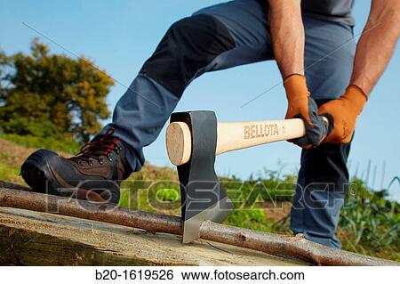 Farmer chopping wood with an ax, Axe, Agricultural and gardening hand tool, Usurbil, Gipuzkoa, Basque Country, Spain View Large Photo Image Stock Photograph - Farmer chopping wood with an ax, Axe, Agricultural and gardening hand tool, Usurbil, Gipuzkoa, Basque Country, Spain. Fotosearch