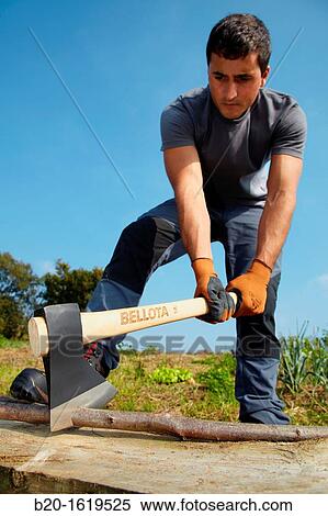 Farmer chopping wood with an ax, Axe, Agricultural and gardening hand tool, Usurbil, Gipuzkoa, Basque Country, Spain View Large Photo Image Stock Photography - Farmer chopping wood with an ax, Axe, Agricultural and gardening hand tool, Usurbil, Gipuzkoa, Basque Country, Spain. Fotosearch