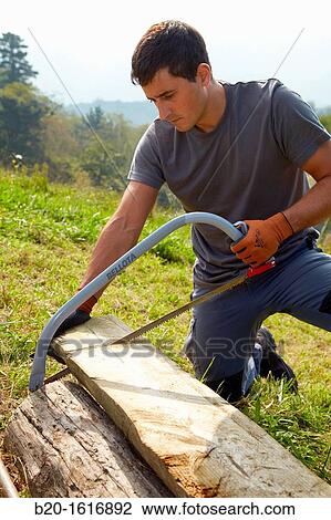 Farmer chopping wood with hacksaw, Bow saw, Agricultural and gardening hand tool, Usurbil, Gipuzkoa, Basque Country, Spain View Large Photo Image Stock Image - Farmer chopping wood with hacksaw, Bow saw, Agricultural and gardening hand tool, Usurbil, Gipuzkoa, Basque Country, Spain. Fotosearch