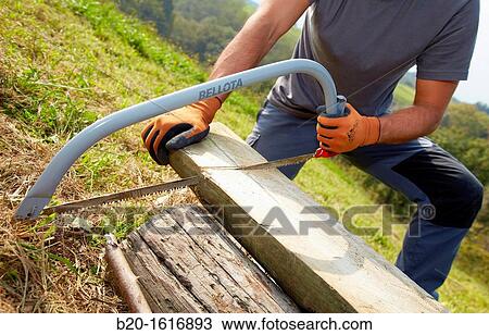 Farmer chopping wood with hacksaw, Bow saw, Agricultural and gardening hand tool, Usurbil, Gipuzkoa, Basque Country, Spain View Large Photo Image Stock Image - Farmer chopping wood with hacksaw, Bow saw, Agricultural and gardening hand tool, Usurbil, Gipuzkoa, Basque Country, Spain. Fotosearch