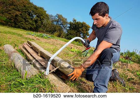 Farmer chopping wood with hacksaw, Bow saw, Agricultural and gardening hand tool, Usurbil, Gipuzkoa, Basque Country, Spain View Large Photo Image Stock Image - Farmer chopping wood with hacksaw, Bow saw, Agricultural and gardening hand tool, Usurbil, Gipuzkoa, Basque Country, Spain. Fotosearch