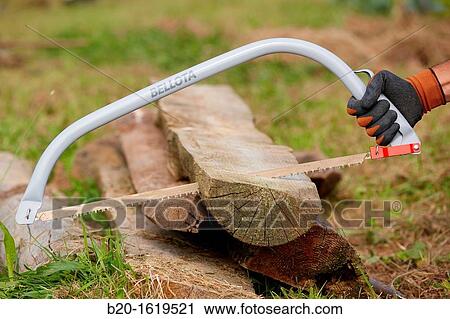 Farmer chopping wood with hacksaw, Bow saw, Agricultural and gardening hand tool, Usurbil, Gipuzkoa, Basque Country, Spain View Large Photo Image Stock Image - Farmer chopping wood with hacksaw, Bow saw, Agricultural and gardening hand tool, Usurbil, Gipuzkoa, Basque Country, Spain. Fotosearch