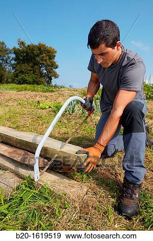 Farmer chopping wood with hacksaw, Bow saw, Agricultural and gardening hand tool, Usurbil, Gipuzkoa, Basque Country, Spain View Large Photo Image Stock Photo - Farmer chopping wood with hacksaw, Bow saw, Agricultural and gardening hand tool, Usurbil, Gipuzkoa, Basque Country, Spain. Fotosearch