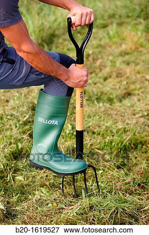 Farmer collecting grass, Fork, Agricultural and gardening hand tool, Usurbil, Gipuzkoa, Basque Country, Spain View Large Photo Image Stock Photo - Farmer collecting grass, Fork, Agricultural and gardening hand tool, Usurbil, Gipuzkoa, Basque Country, Spain. Fotosearch