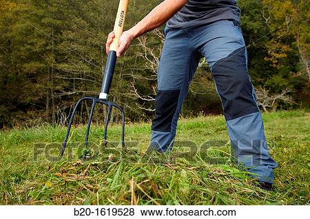 Farmer collecting grass, Fork, Agricultural and gardening hand tool, Usurbil, Gipuzkoa, Basque Country, Spain View Large Photo Image Stock Photo - Farmer collecting grass, Fork, Agricultural and gardening hand tool, Usurbil, Gipuzkoa, Basque Country, Spain. Fotosearch