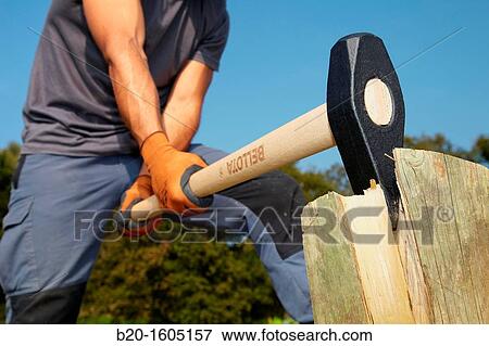 Stock Photo - Farmer cutting wood with wedge club, Sledgehammer wedge, Agricultural and gardening hand tool, Usurbil, Gipuzkoa, Basque Country, Spain. Fotosearch