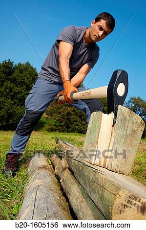 Farmer cutting wood with wedge club, Sledgehammer wedge, Agricultural and gardening hand tool, Usurbil, Gipuzkoa, Basque Country, Spain View Large Photo Image Stock Photograph - Farmer cutting wood with wedge club, Sledgehammer wedge, Agricultural and gardening hand tool, Usurbil, Gipuzkoa, Basque Country, Spain. Fotosearch