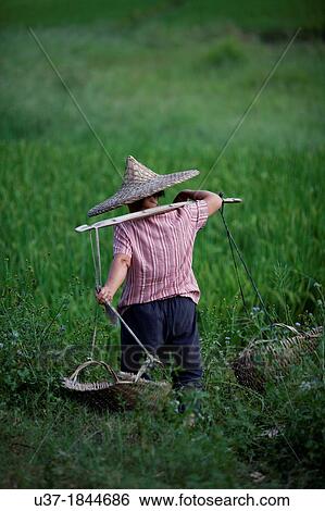 Farmer going to the field at Jiexi, China. View Large Photo Image Stock Photograph - Farmer going to the field at Jiexi, China.. Fotosearch