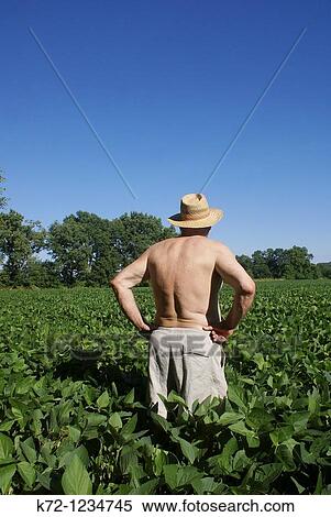 Farmer In Soybean Field View Large Photo Image Stock Photography - Farmer In Soybean Field. Fotosearch
