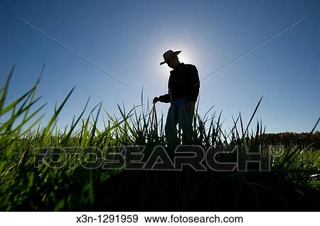Farmer in the field View Large Photo Image Stock Photo - Farmer in the field. Fotosearch