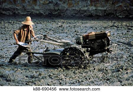 Farmer ploughing rice field, Xishuangbanna, Yunnan, China View Large Photo Image Stock Photograph - Farmer ploughing rice field, Xishuangbanna, Yunnan, China. Fotosearch