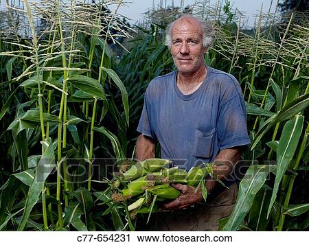 Farmer View Large Photo Image Stock Image - Farmer. Fotosearch