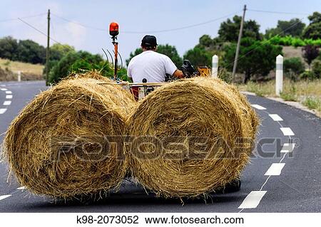 Farmer transporting straw bales, Saint-Paul-de-Fenouillet, Pyrenees-Orientales, France View Large Photo Image Stock Image - Farmer transporting straw bales, Saint-Paul-de-Fenouillet, Pyrenees-Orientales, France. Fotosearch