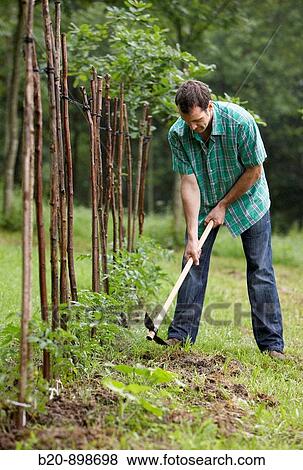 Farmer using hoe, hand tool, farming, kitchen garden, Guipuzcoa, Basque Country, Spain View Large Photo Image Stock Photo - Farmer using hoe, hand tool, farming, kitchen garden, Guipuzcoa, Basque Country, Spain. Fotosearch