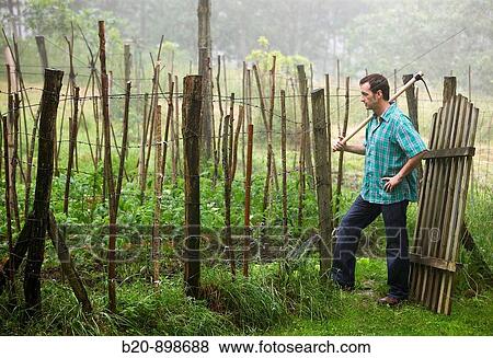 Farmer with hoe, hand tool, farming, kitchen garden, Guipuzcoa, Basque Country, Spain View Large Photo Image Stock Photo - Farmer with hoe, hand tool, farming, kitchen garden, Guipuzcoa, Basque Country, Spain. Fotosearch