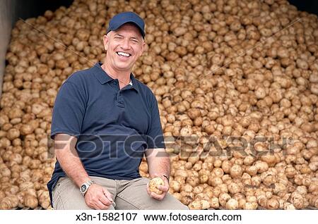 Farmer with pile of potatoes on potato farm, Dorchester County Maryland USA View Large Photo Image Stock Photo - Farmer with pile of potatoes on potato farm, Dorchester County Maryland USA. Fotosearch