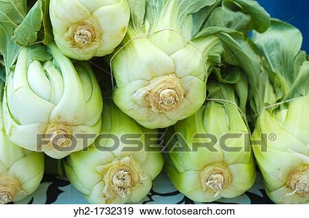 Farmers market, fresh vegetables View Large Photo Image Stock Photo - Farmers market, fresh vegetables. Fotosearch