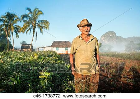 Farmers, Viales Valley, Pinar del R? o province, Cuba. View Large Photo Image Stock Image - Farmers, Viales Valley, Pinar del R? o province, Cuba.. Fotosearch