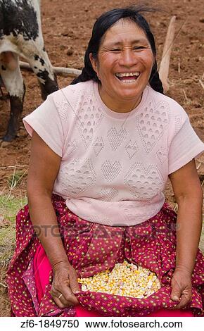 Farming portrait of woman with corn smiling on farm in small town of Chinchero Peru South America View Large Photo Image Stock Image - Farming portrait of woman with corn smiling on farm in small town of Chinchero Peru South America. Fotosearch