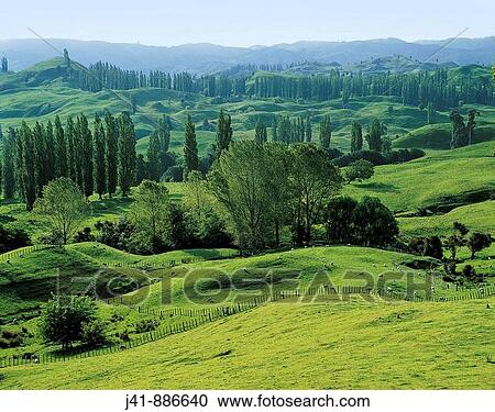 Farmland at Tiniroto near Wairoa Eastland New Zealand View Large Photo Image Stock Image - Farmland at Tiniroto near Wairoa Eastland New Zealand. Fotosearch