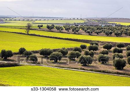 Stock Photo - Farmlands in Pinto, Madrid province, Spain.. Fotosearch