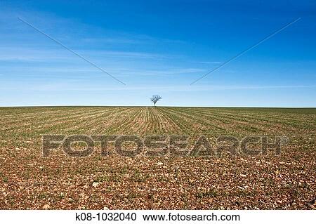 Stock Image - Farmlands, La Mancha, Spain. Fotosearch