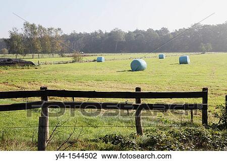 Farmlandscape on Estate den Treek. The Netherlands, Leusden View Large Photo Image Stock Image - Farmlandscape on Estate den Treek. The Netherlands, Leusden. Fotosearch