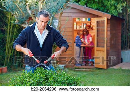 Father and children doing DIY in the garden. Cutting a hedge. View Large Photo Image Stock Photograph - Father and children doing DIY in the garden. Cutting a hedge.. Fotosearch