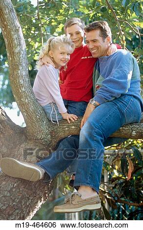 father and his two kids in a tree View Large Photo Image Stock Photograph - father and his two kids in a tree. Fotosearch