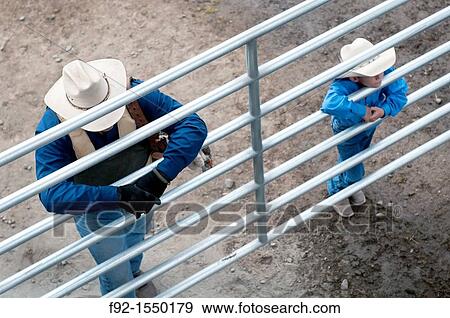 Father and son watching Rodeo View Large Photo Image Stock Photo - Father and son watching Rodeo. Fotosearch