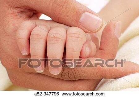 Stock Photograph - Father holding babies hands. Fotosearch