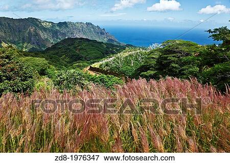 Fatu hiva island. Stock Photo | zd8-1976347 | Fotosearch