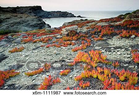 Stock Photo - Favaritx Cape S? Albufera des Grau Natural Park Minorca, Balearic Islands, Spain, Europe. Fotosearch
