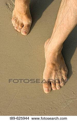 Feet on the beach, Traveler walking on Ko Samet beach View Large Photo Image Picture - Feet on the beach, Traveler walking on Ko Samet beach. Fotosearch