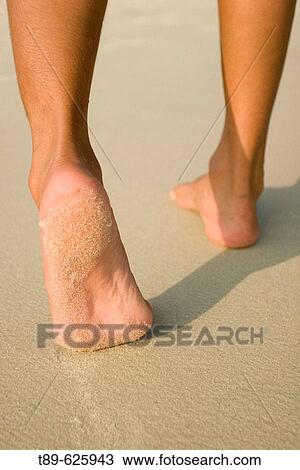 Feet on the beach, traveler walking on the beach on Ko Samet, Thailand View Large Photo Image Stock Image - Feet on the beach, traveler walking on the beach on Ko Samet, Thailand. Fotosearch