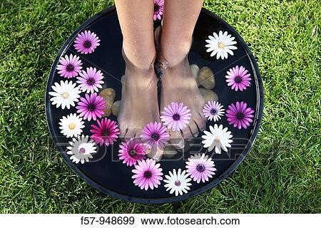 Stock Photo - Feet treatment with peebles and flowers. Fotosearch